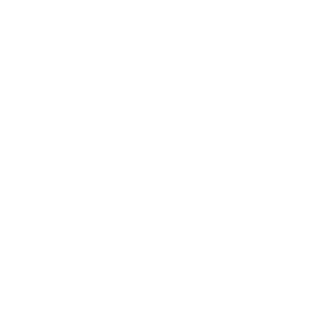 BIRDS Gin