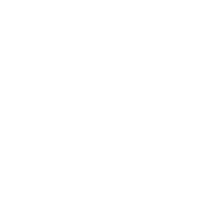 Compañero