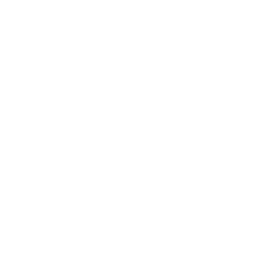 Diplomatico