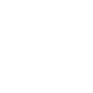 Nobilis