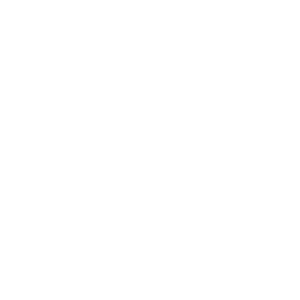 Renegade