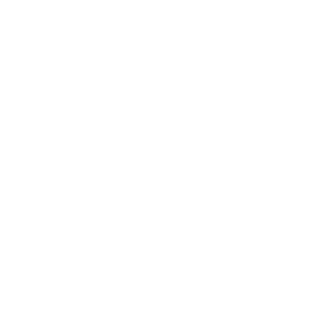 Moon Import