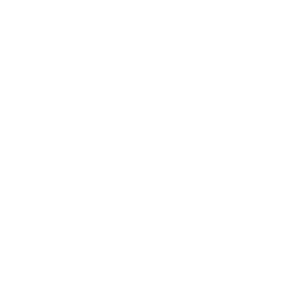 Gran Torino
